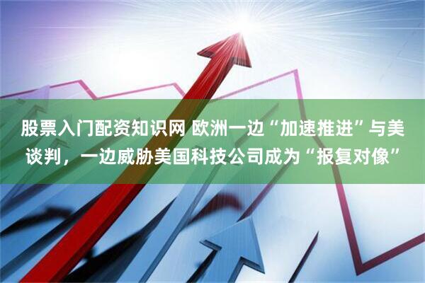 股票入门配资知识网 欧洲一边“加速推进”与美谈判，一边威胁美国科技公司成为“报复对像”