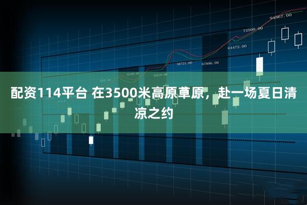 配资114平台 在3500米高原草原，赴一场夏日清凉之约