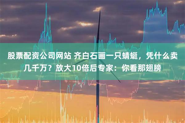 股票配资公司网站 齐白石画一只蜻蜓，凭什么卖几千万？放大10倍后专家：你看那翅膀